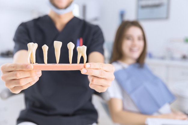 close-up-male-dentist-showing-teeth-model_23-2147879141